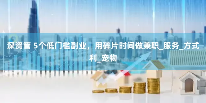 深资管 5个低门槛副业，用碎片时间做兼职_服务_方式利_宠物