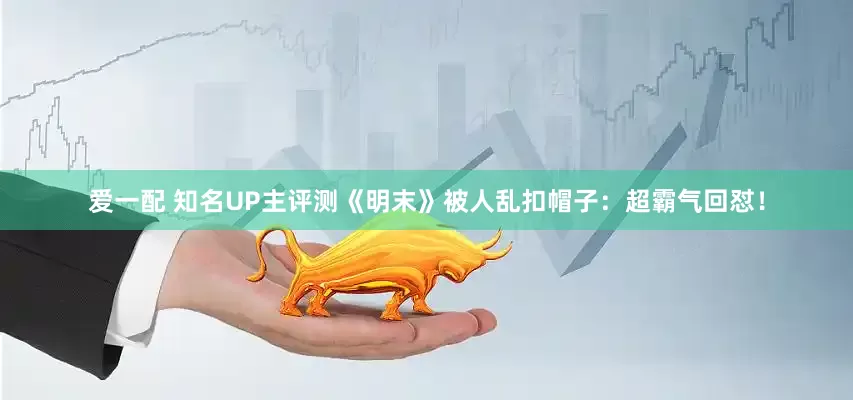 爱一配 知名UP主评测《明末》被人乱扣帽子：超霸气回怼！
