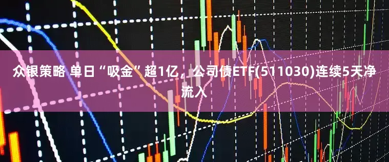 众银策略 单日“吸金”超1亿，公司债ETF(511030)连续5天净流入