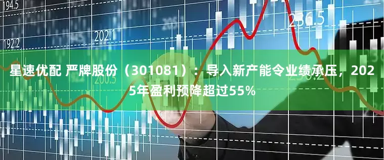 星速优配 严牌股份（301081）：导入新产能令业绩承压，2025年盈利预降超过55%